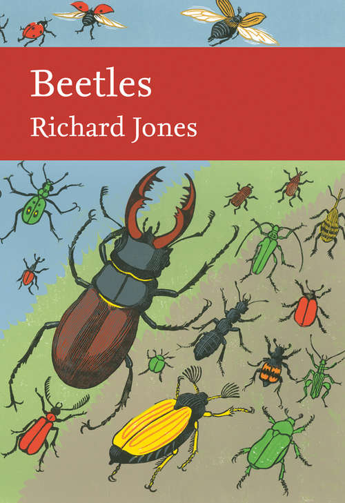 Book cover of Beetles (ePub edition) (Collins New Naturalist Library #136)