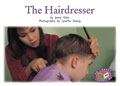 Book cover of Progress with Meaning, Blue, Level 11&12: The Hairdresser