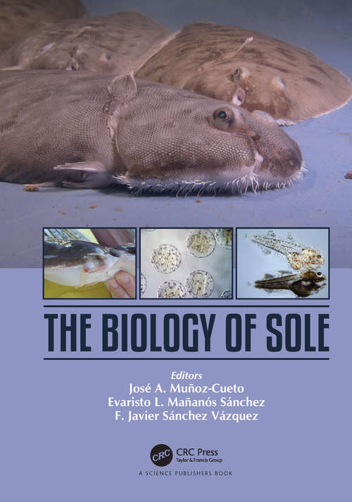 Book cover of The Biology of Sole