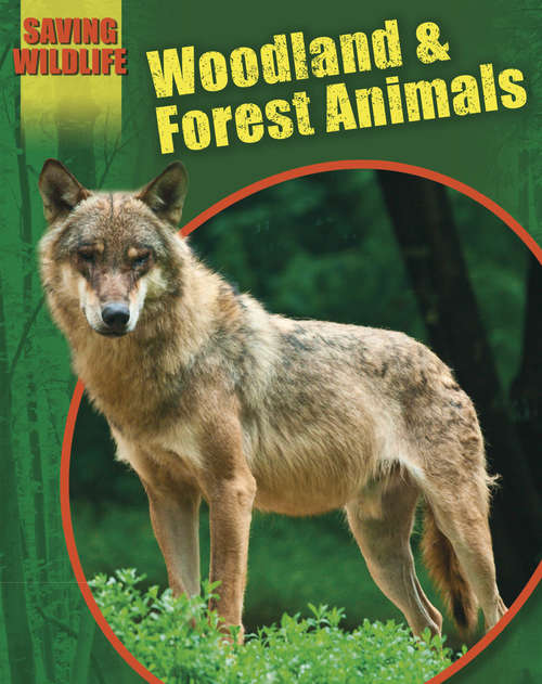 Book cover of Woodland and Forest Animals: Woodland And Forest Animals (Saving Wildlife)