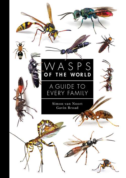 Book cover of Wasps of the World: A Guide to Every Family (A Guide to Every Family #8)