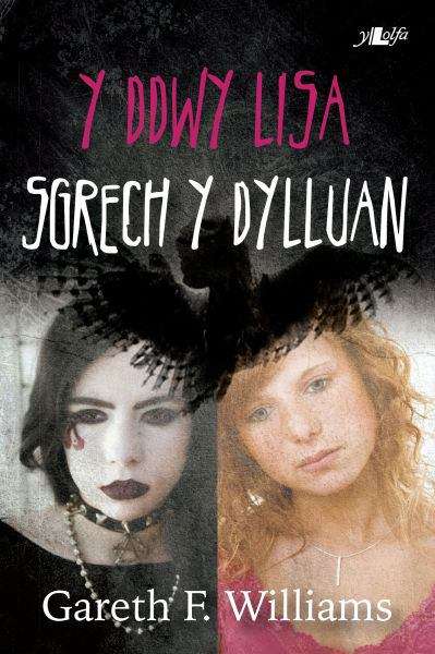 Book cover of Y Ddwy Lisa - Sgrech y Dylluan (Cyfres y Dderwen)