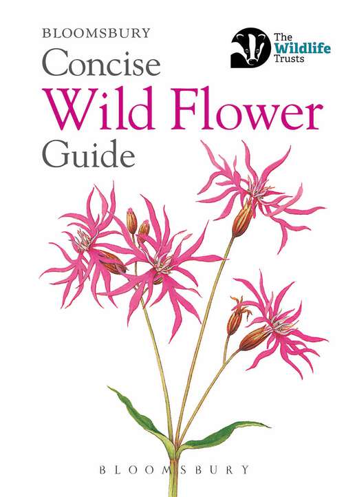 Book cover of Concise Wild Flower Guide