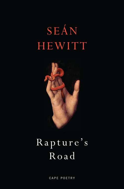 Book cover of Rapture's Road: From the author of All Down Darkness Wide