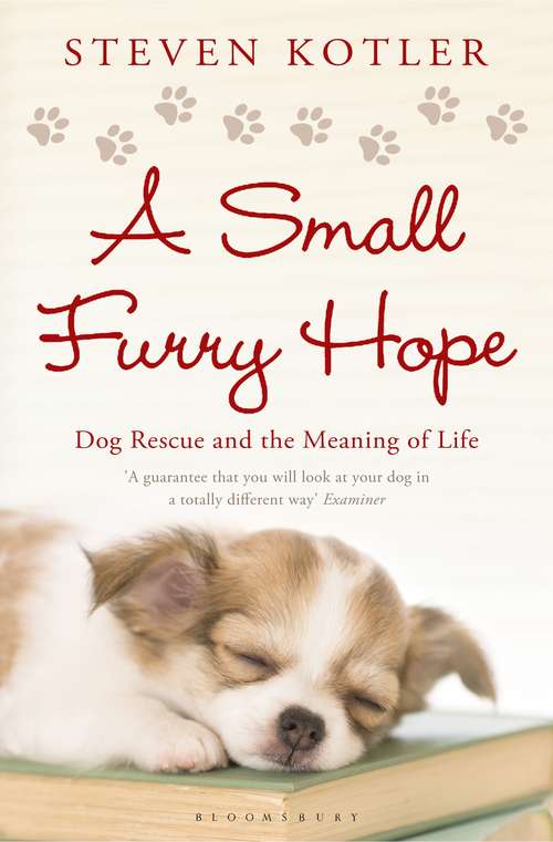 Book cover of A Small Furry Hope: Dog Rescue and the Meaning of Life