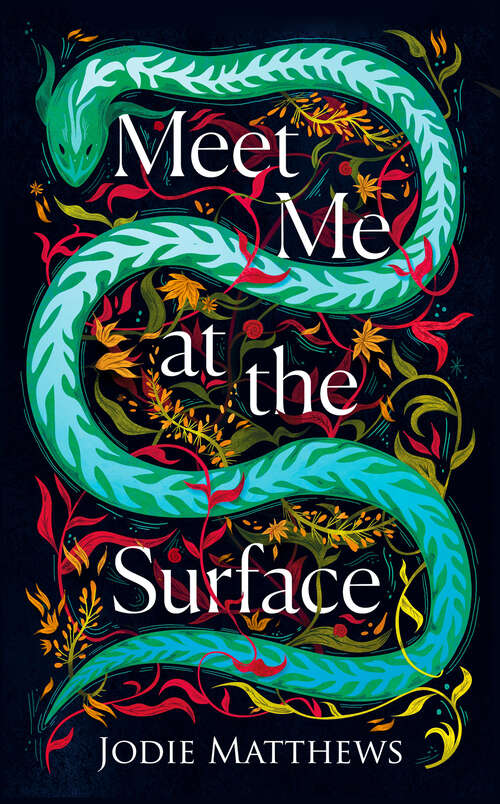 Book cover of Meet Me at the Surface