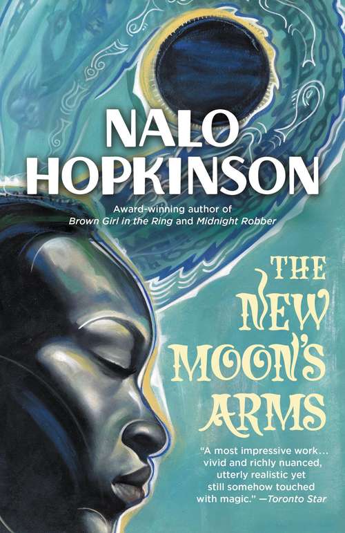 Book cover of The New Moon's Arms