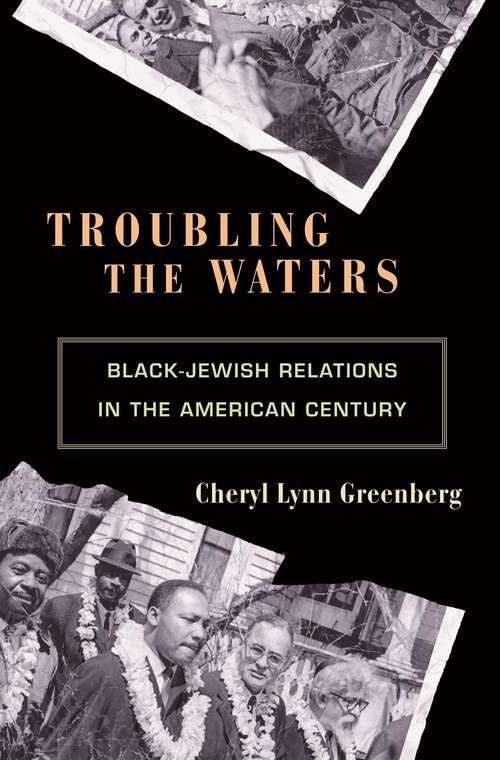 Book cover of Troubling the Waters: Black-Jewish Relations in the American Century (Politics and Society in Modern America #68)