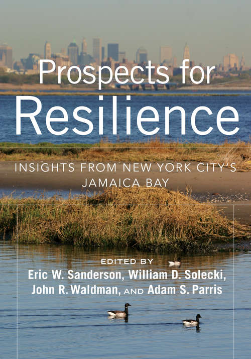 Book cover of Prospects for Resilience: Insights from New York City's Jamaica Bay (1st ed. 2016)