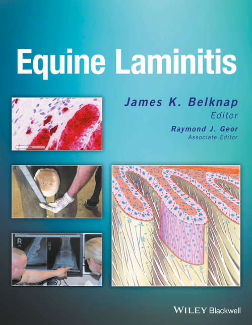 Book cover of Equine Laminitis