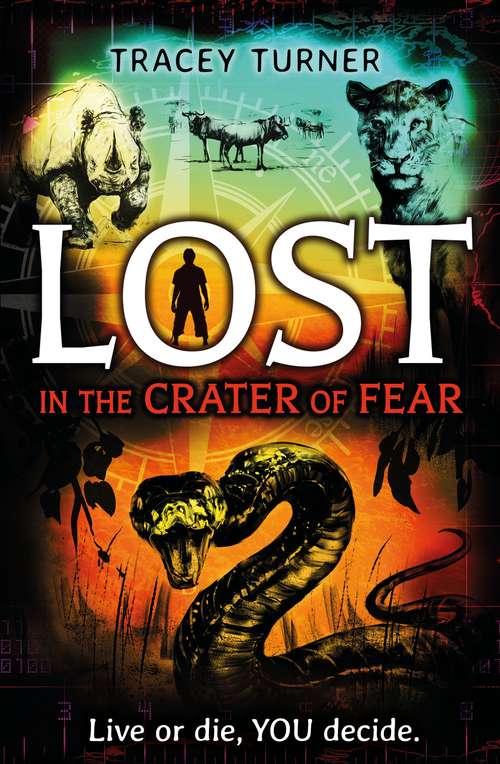 Book cover of Lost... In the Crater of Fear