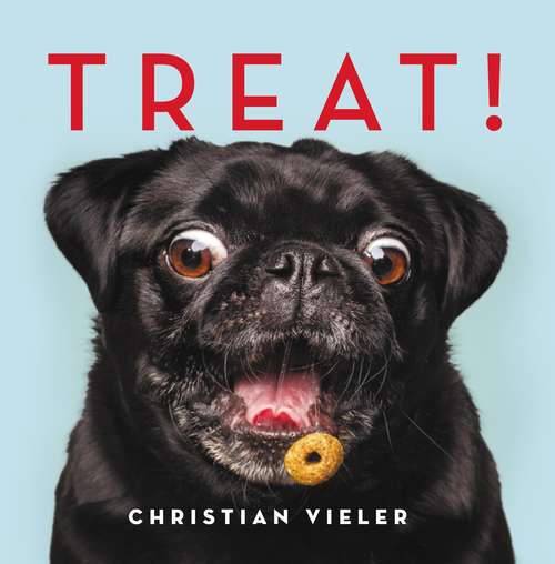 Book cover of Treat!: Dogs Catching Treats: The Funniest Dog Book Of The Year