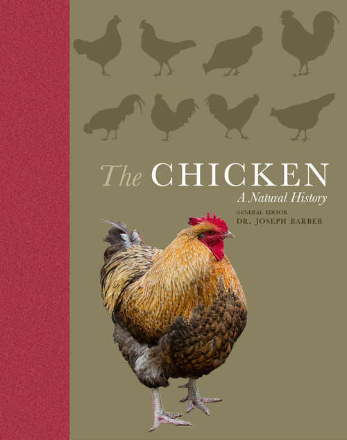 Book cover of The Chicken: A Natural History