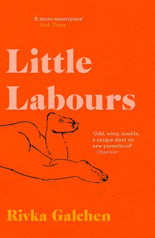 Book cover of Little Labours (ePub edition)