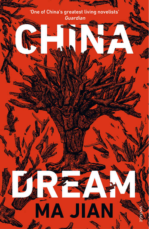 Book cover of China Dream