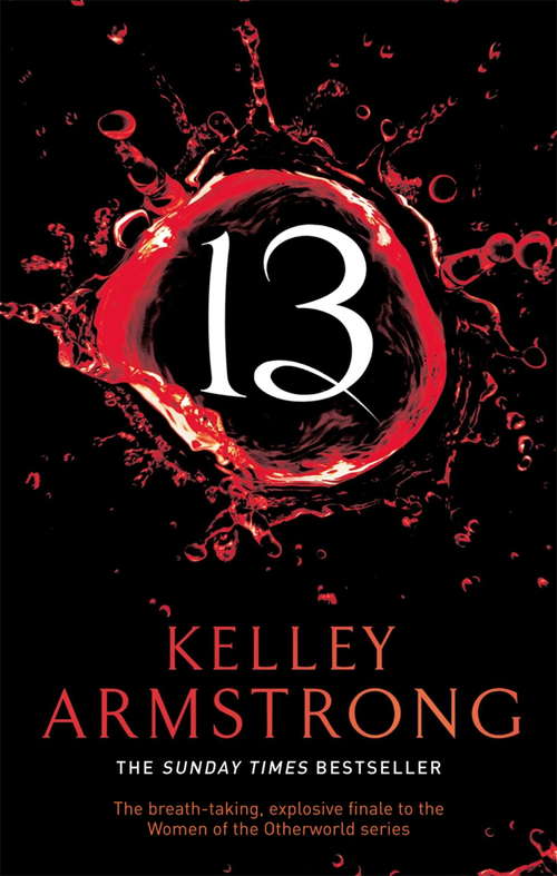 Book cover of 13: Number 13 in series (Otherworld #13)