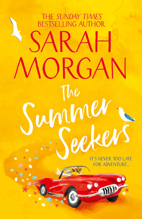 Book cover of The Summer Seekers (ePub edition)