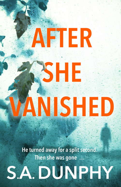 Book cover of After She Vanished (David Dunnigan)