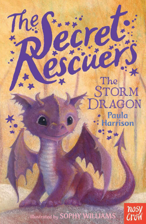 Book cover of The Secret Rescuers: The Storm Dragon; The Sky Unicorn; The Baby Firebird; The Magic Fox; The Star Wolf; The Sea Pony (The\secret Rescuers Ser. #1)
