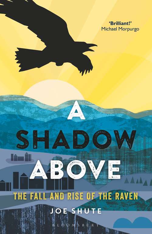 Book cover of A Shadow Above: The Fall and Rise of the Raven