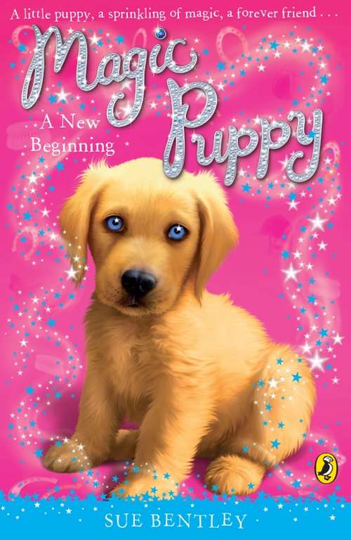 Book cover of Magic Puppy: A New Beginning (Magic Puppy #1)