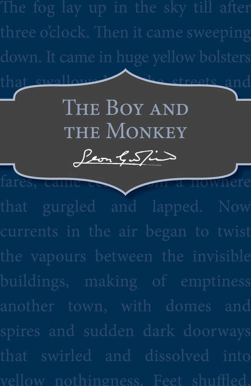 Book cover of The Boy and the Monkey