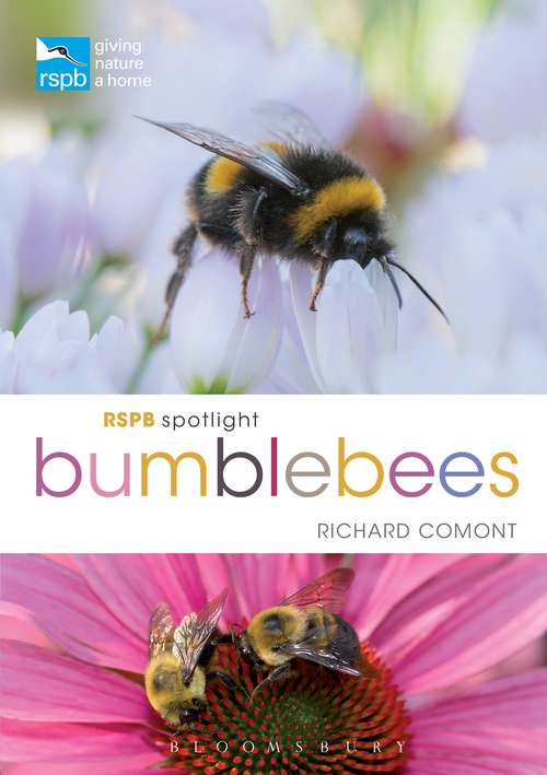 Book cover of RSPB Spotlight Bumblebees