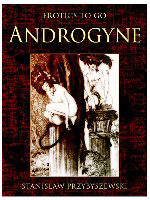 Book cover of Androgyne: Revised Edition Of Original Version (Erotics To Go)