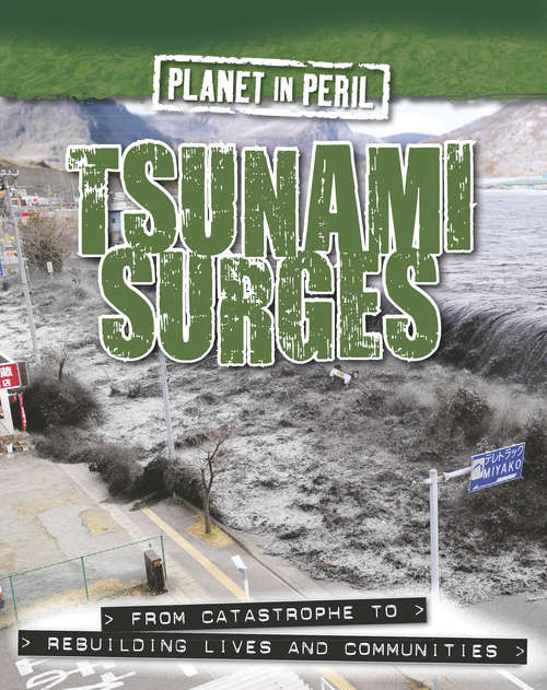 Book cover of Tsunami Surges (PDF) (Planet in Peril #1)