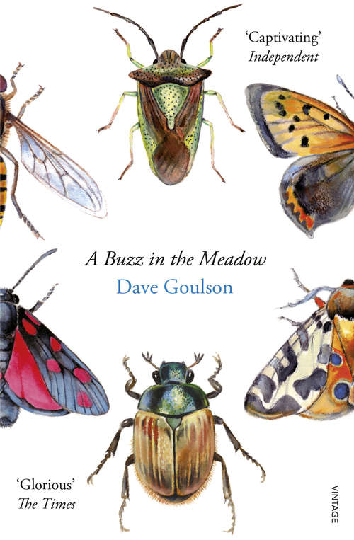 Book cover of A Buzz in the Meadow: The Natural History Of A French Farm