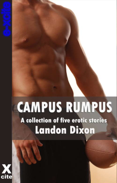 Book cover of Campus Rumpus: A collection of gay erotic stories