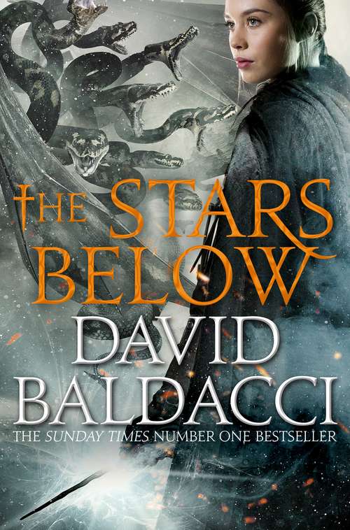 Book cover of The Stars Below (Vega Jane #4)