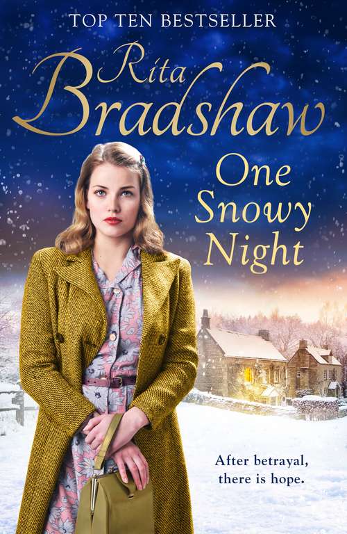 Book cover of One Snowy Night