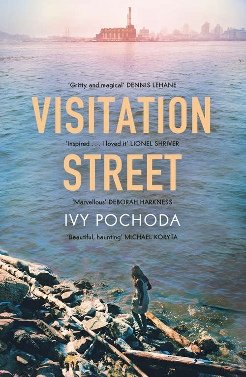 Book cover of Visitation Street: A Novel