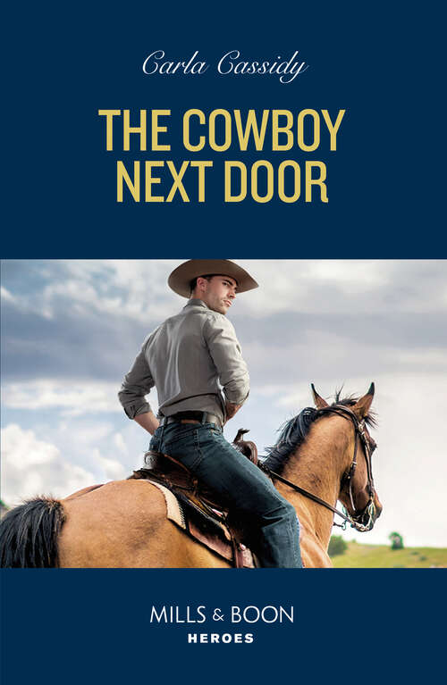 Book cover of The Cowboy Next Door (ePub edition) (The Scarecrow Murders #3)