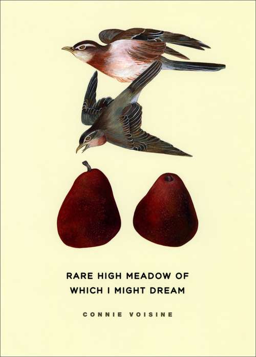 Book cover of Rare High Meadow of Which I Might Dream (Phoenix Poets)