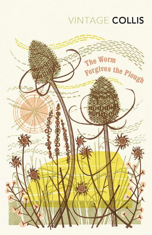 Book cover of The Worm Forgives the Plough