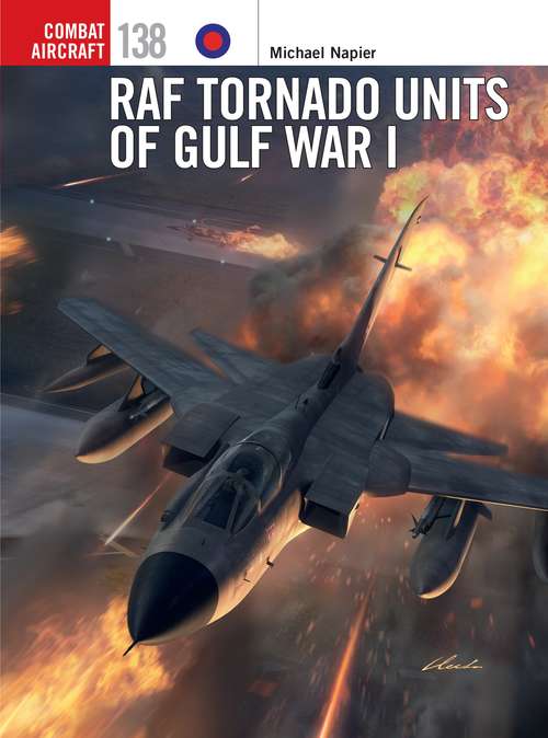Book cover of RAF Tornado Units of Gulf War I (Combat Aircraft)