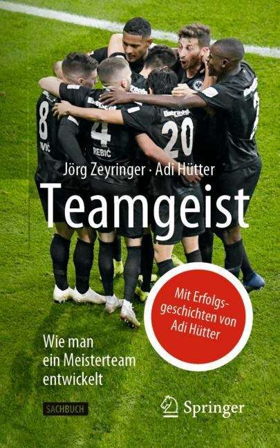 Book cover of Teamgeist: Wie man ein Meisterteam entwickelt (1. Aufl. 2019)