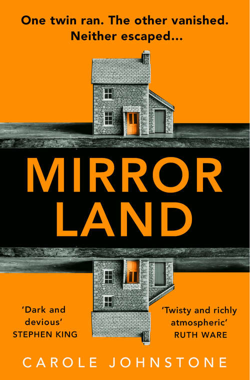 Book cover of Mirrorland