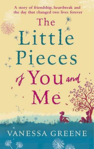 Book cover of The Little Pieces of You and Me