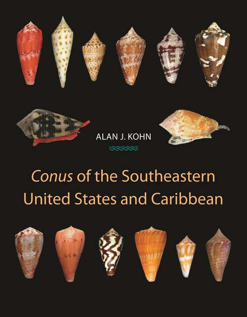 Book cover of "Conus" of the Southeastern United States and Caribbean (PDF)