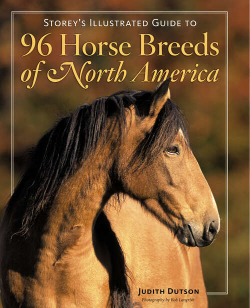 Book cover of Storey's Illustrated Guide to 96 Horse Breeds of North America