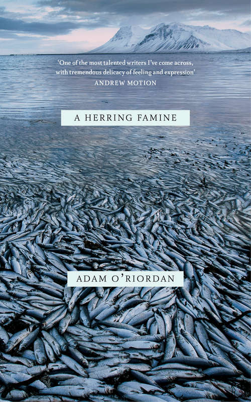 Book cover of A Herring Famine