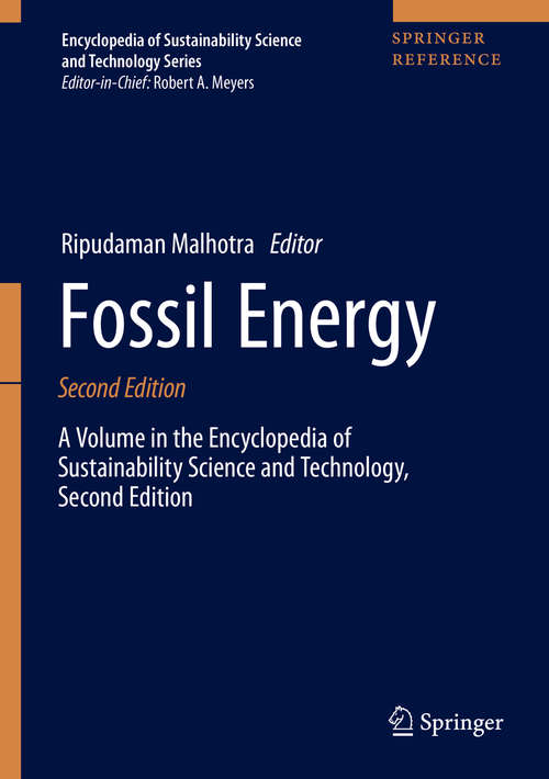 Book cover of Fossil Energy: Selected Entries From The Encyclopedia Of Sustainability Science And Technology (2) (Encyclopedia Of Sustainability Science And Technology Ser.)
