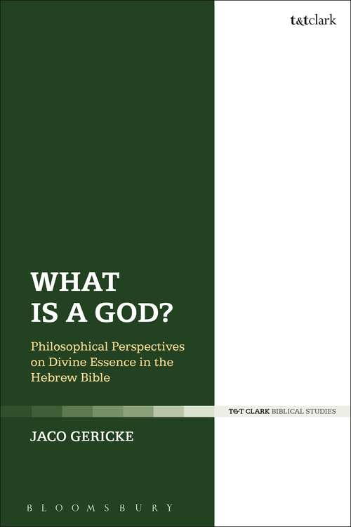 Book cover of What is a God?: Philosophical Perspectives on Divine Essence in the Hebrew Bible