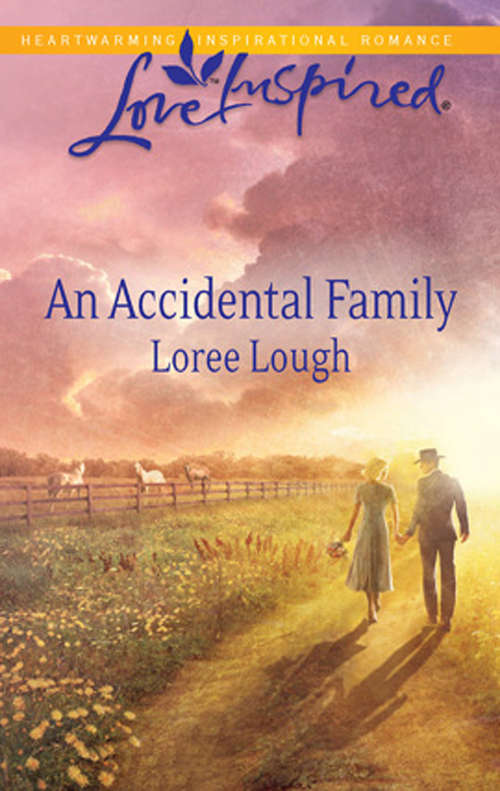 Book cover of An Accidental Family (ePub First edition) (Mills And Boon Love Inspired Ser.)