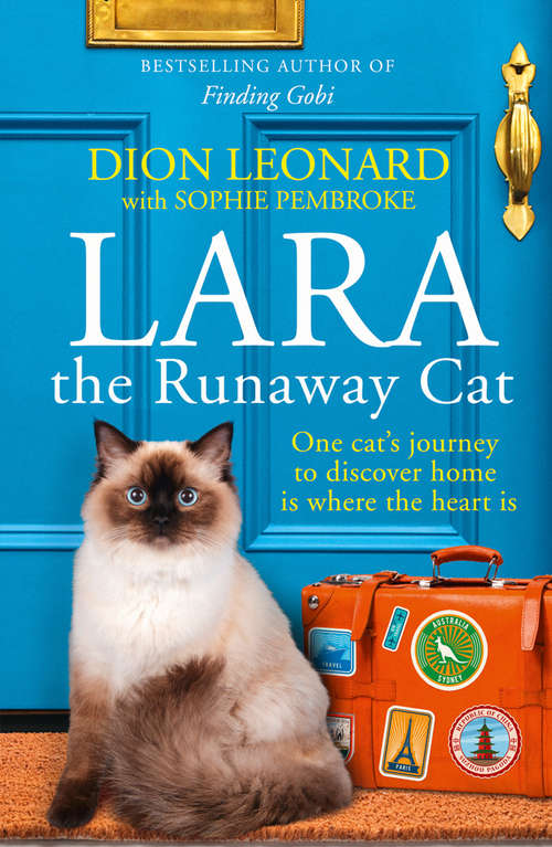 Book cover of Lara The Runaway Cat: One Cat's Journey To Discover Home Is Where The Heart Is (ePub edition)