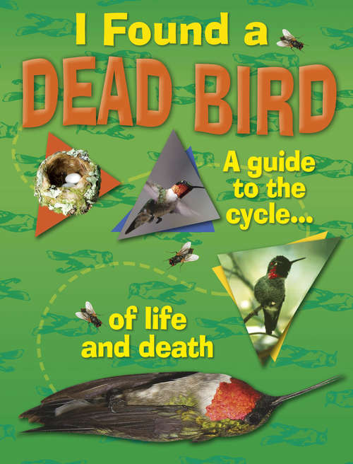 Book cover of I Found A Dead Bird - A guide to the cycle of life and death: The Kids' Guide To The Cycle Of Life And Death (I Found A Dead Bird Ser.)