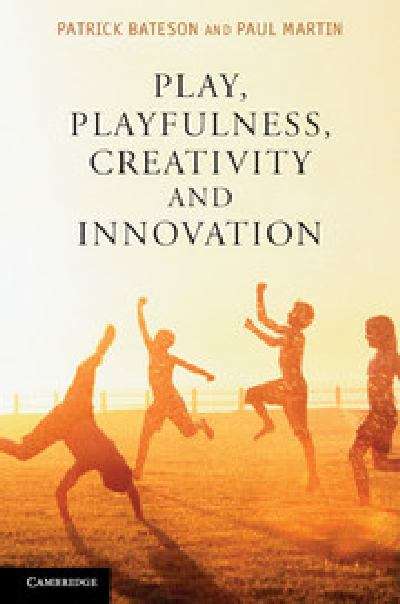 Book cover of Play, Playfulness, Creativity And Innovation (PDF)